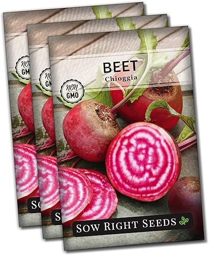 Miniatura 1 de Sow Right Seeds - Semillas de remolacha Chioggia para plantar - Paquete de reliquia sin OMG con instrucciones para plantar y cultivar un huerto