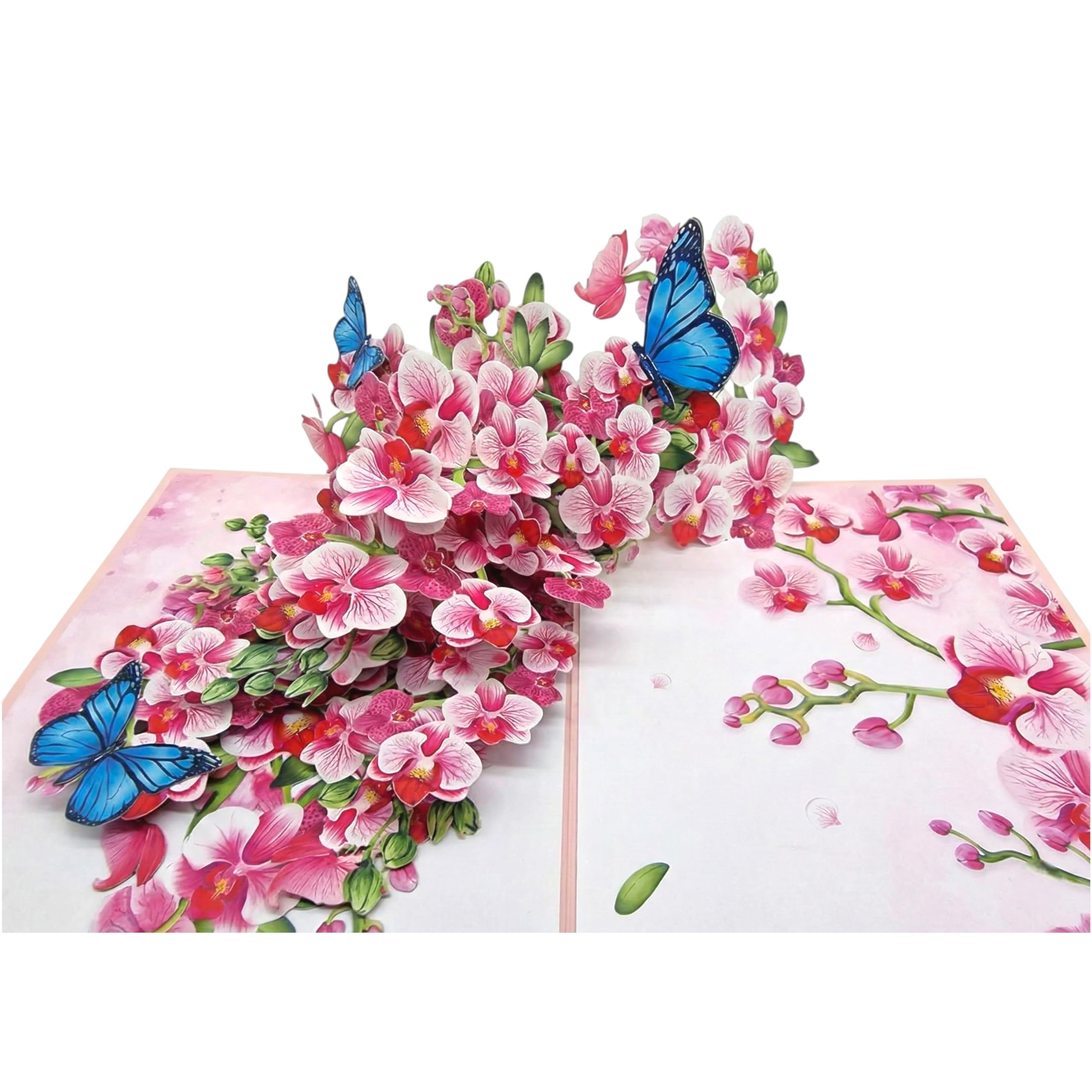 PopOra Pink Orchid Pop Up Card – 3D Floral Birthday, Mothers Day, Anniversary,valentines, Get Well & Thank You Card for Women, Mum, Grandma, Wife, Girlfriend & Teacher – Luxury Orchid Greeting card