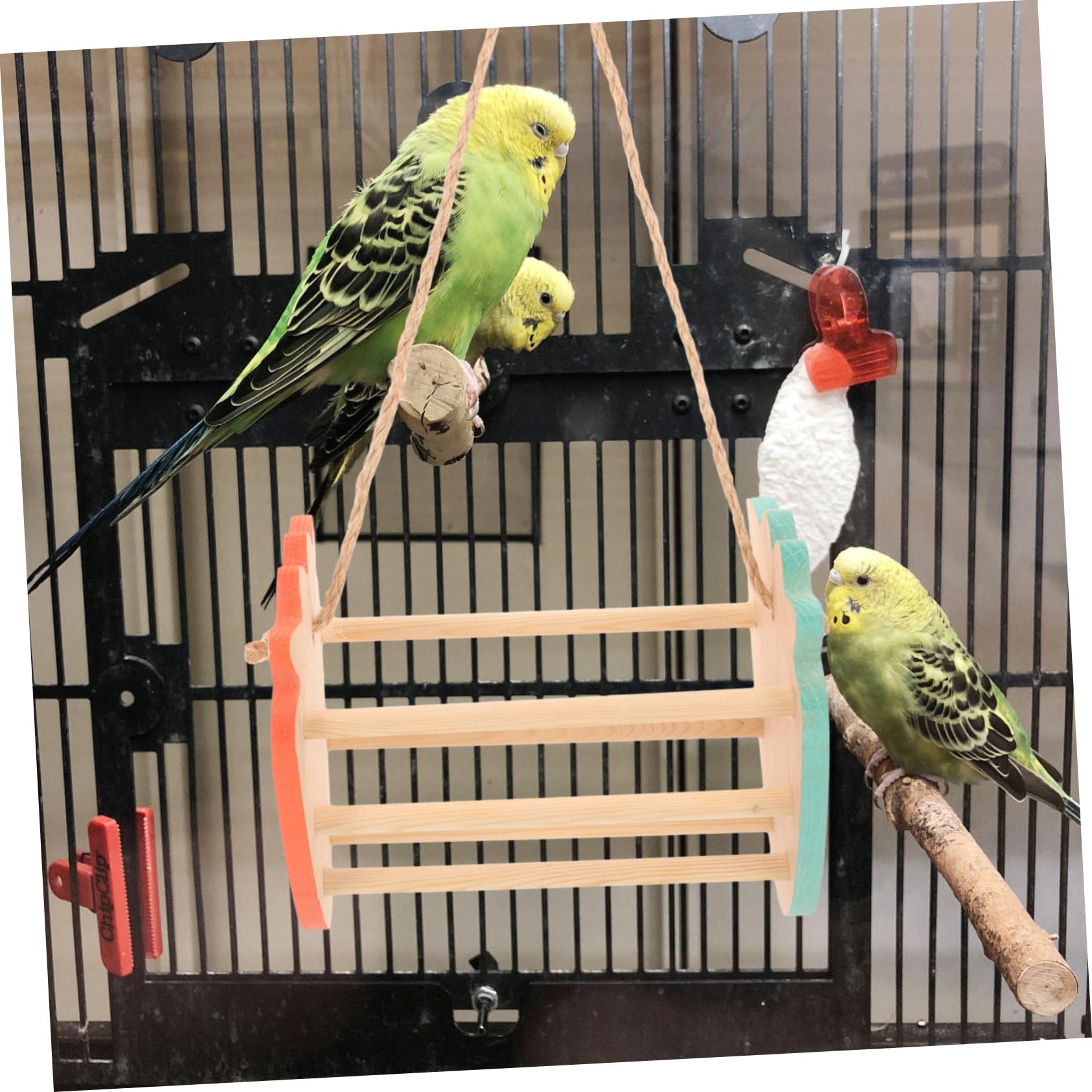 BESPORTBLE 4pezzi Giochi Per Pappagalli Con Altalena Legno Posatoio Appeso Per Uccelli Decorazione Per Gabbiette Giocattolo Interattivo Per Parrocchetti e Pappagalli Atmosfera Calda e