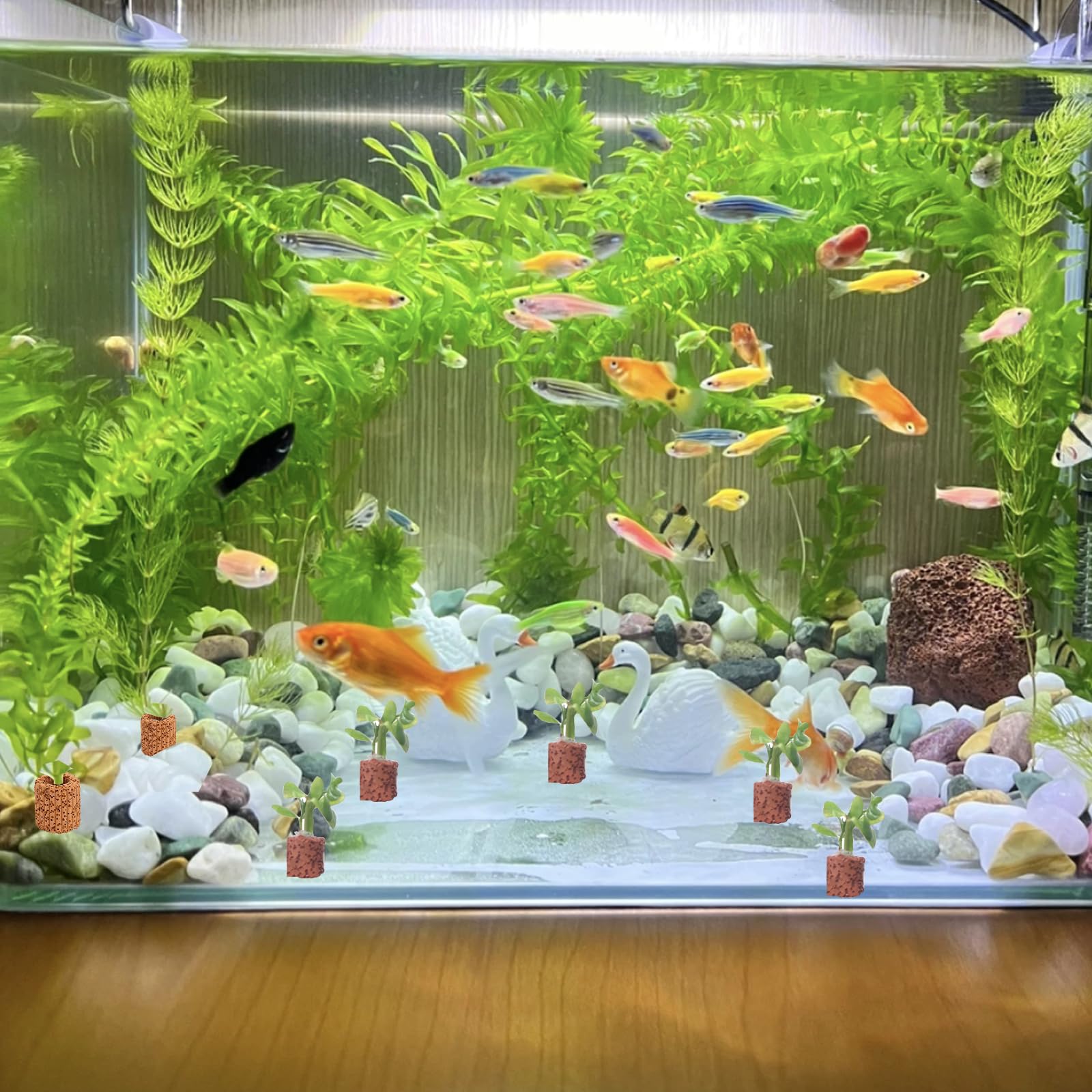 20 Stück Aquariumringen van Keramiek, Aquatische Planten Ring, Aaste Ring Aquarium, voor Het Houden van Alle Soorten Waterplanten en Planten in Het Aquarium