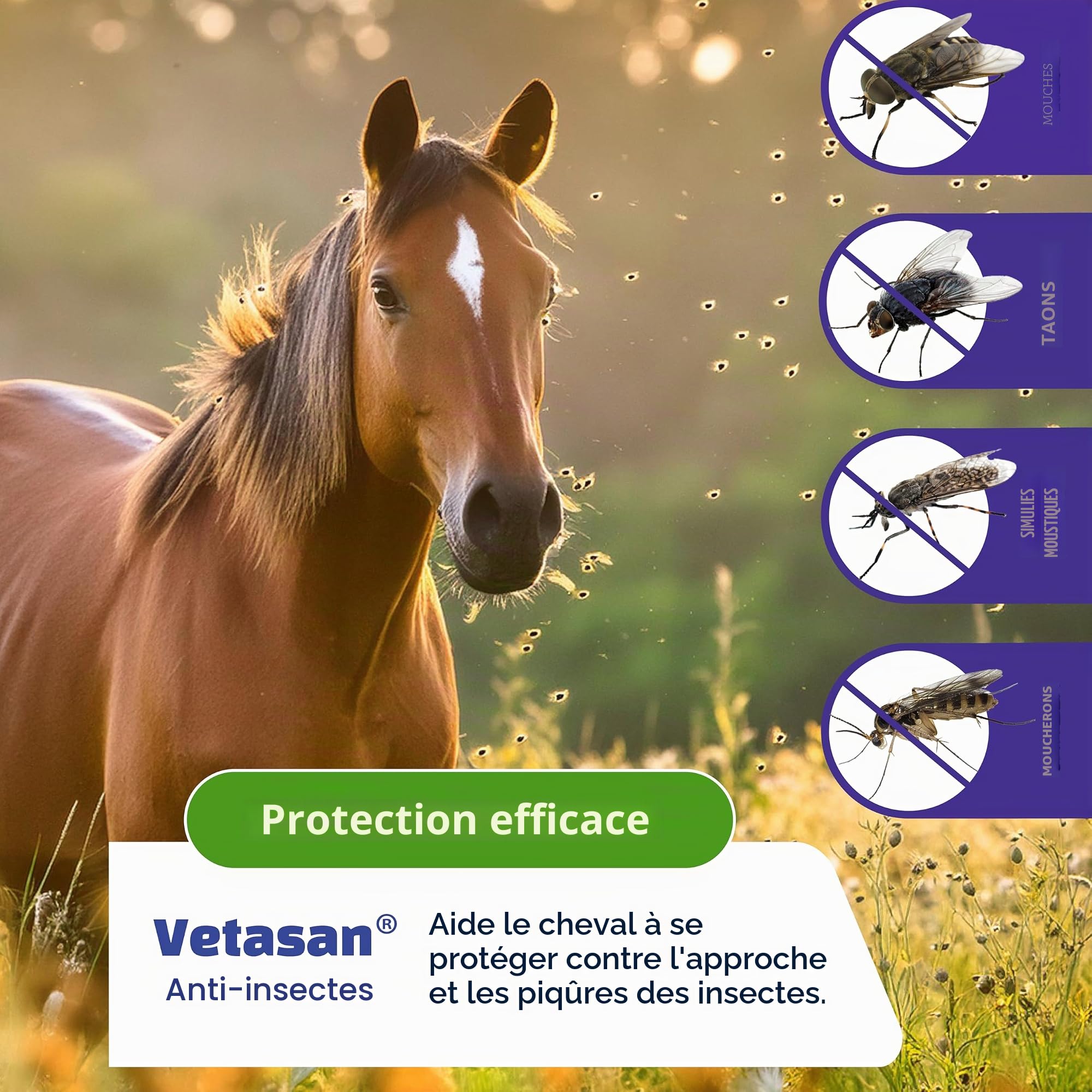 Spray anti-mouches cheval (3 l)