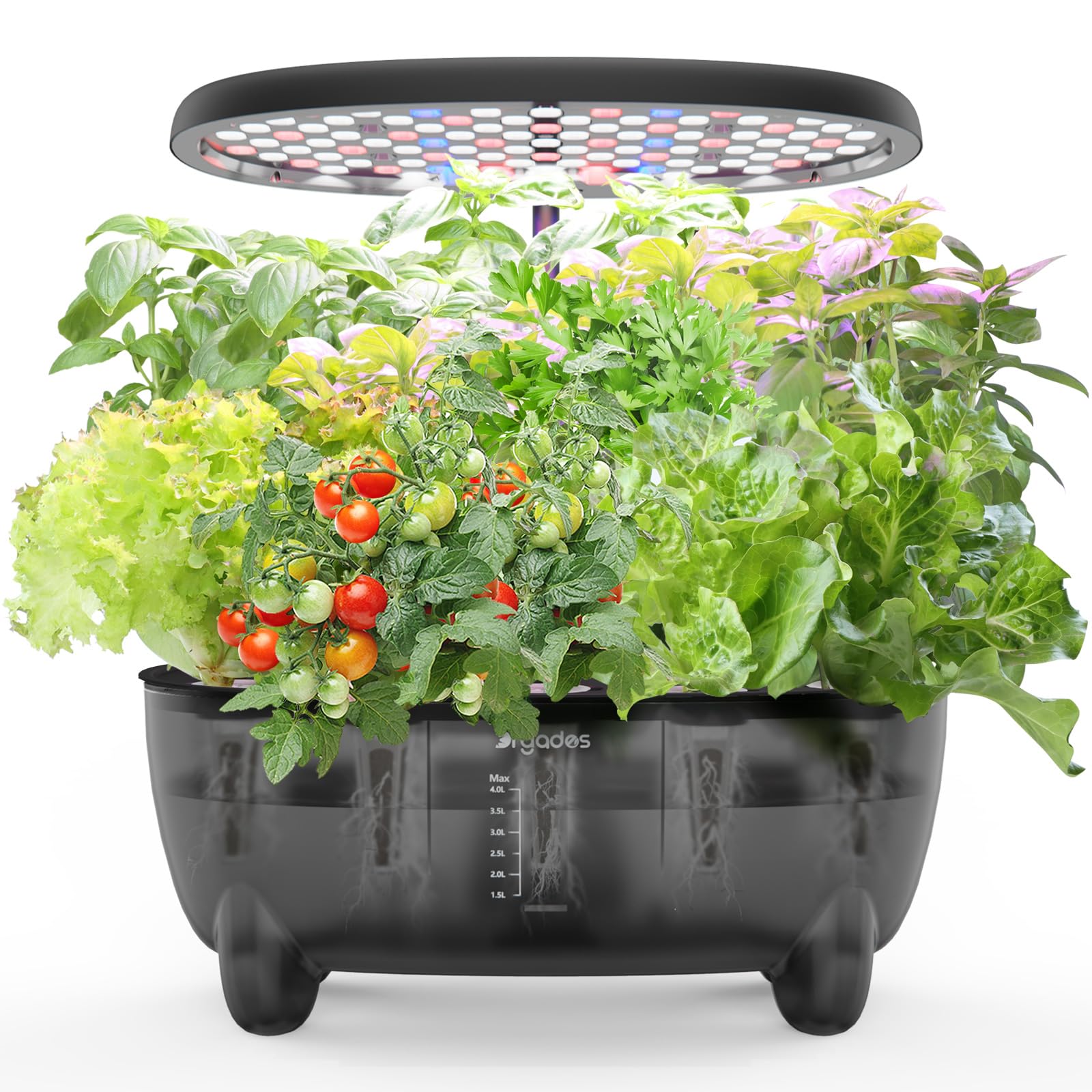 DRYADES 12-Pod Indoor Herb Garden Hydroponics Growing System Kit with LED Grow Light, Indoor Gardening System for Herbs, Vegetables, Lettuce on Countertop (Seeds NOT Included)