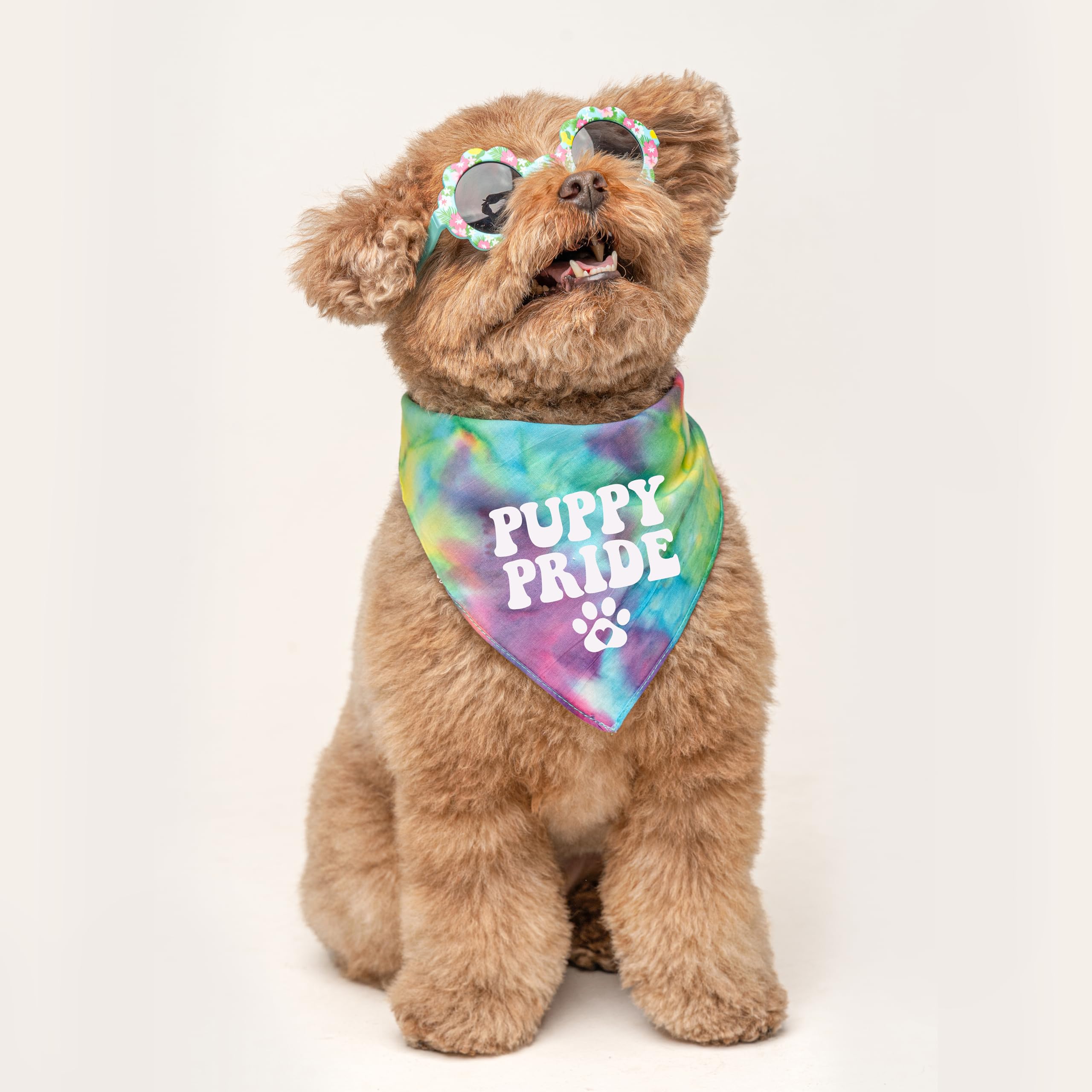 Puppy Pride Dog Bandana | 100% Cotton Tie Dye Triangle | Made in USA | Pride Day | LGBTQ+ | Rainbow | Parade | One Size | Rainbow Scrunch (740)