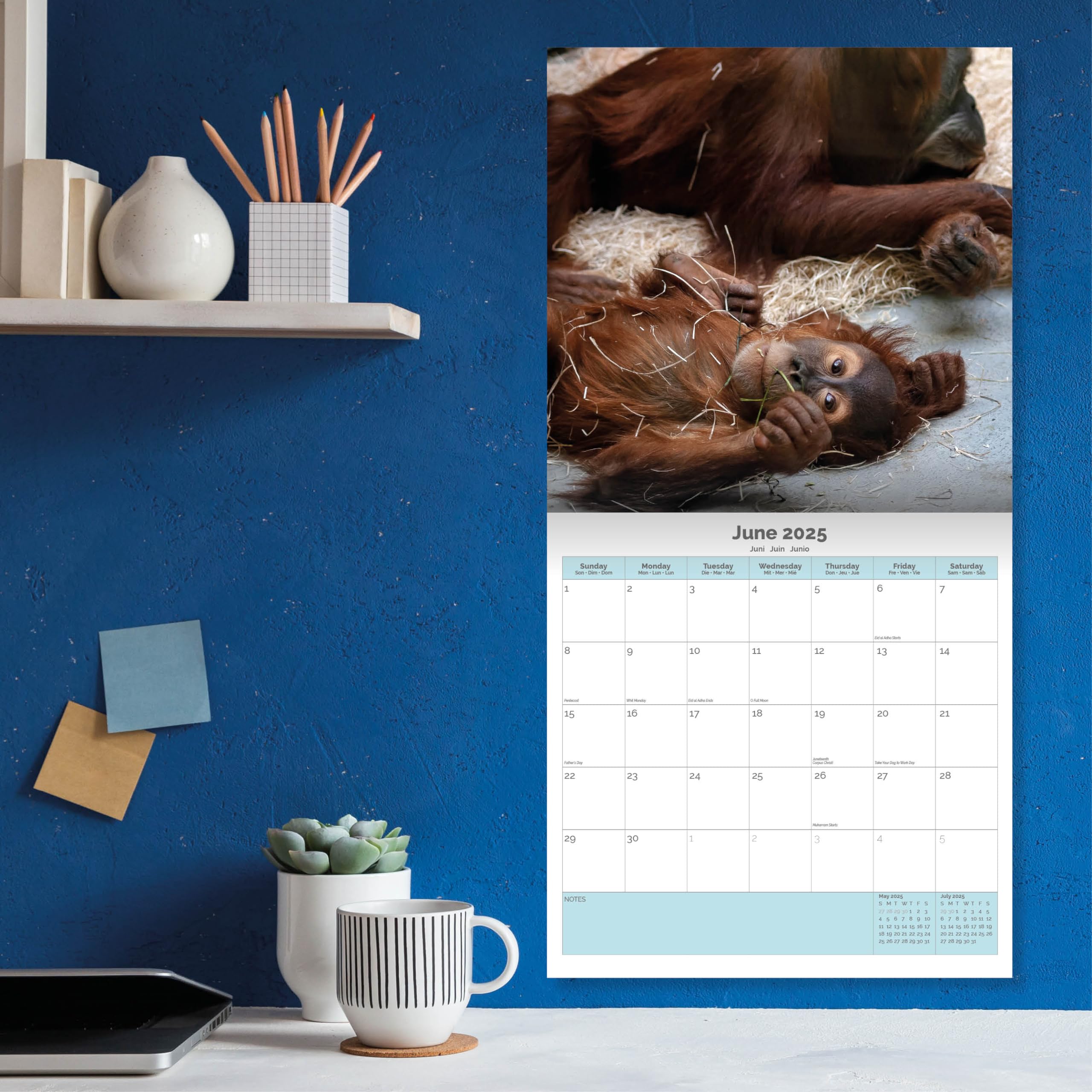 Dayplanner Publishing Baby Animals Calendar 2026, Large Square Wall Calendar With Organisational Stickers, 16 Month - Image 4