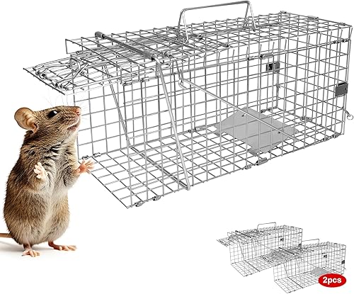 H&B Luxuries Trampa para ratas jaula de animales vivos para ratas, hámster, topo, comadreja, ardillas y más roedores (2 medianos)