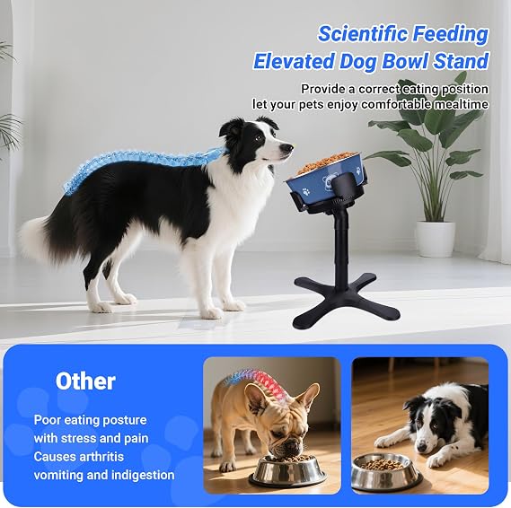 Dog Bowls,Elevated Adjustable Dog Bowl Stand with 3 Heights & Tilted Feeding Design, Raised Stand Compatible with Medium & Large Breeds(with Bowl) Black