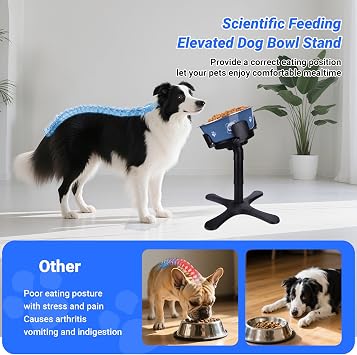 Dog Bowls,Elevated Adjustable Dog Bowl Stand with 3 Heights & Tilted Feeding Design, Raised Stand Compatible with Medium & Large Breeds(with Bowl) Black