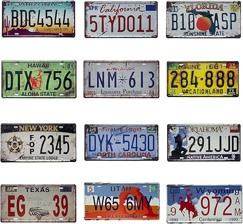 12 placas de matrícula de automóvil americano, de metal de Estados Unidos, logotipo vintage oxidado, placas decorativas para parte delantera de