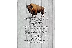 Advice From Buffalo - Inspirational Wall Art For Living Room