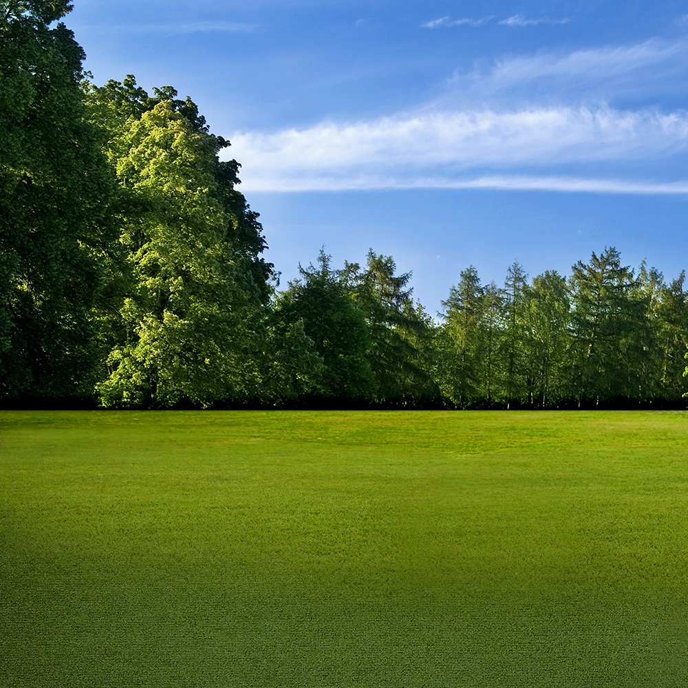Amazon | 写真バックドロップ – スポーツ公園 – 10 x 10 ft  