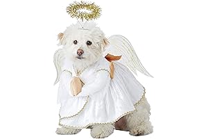 Legally Blonde Dog Costume Perfect for Chihuahuas, Small to Medium Sized Dogs