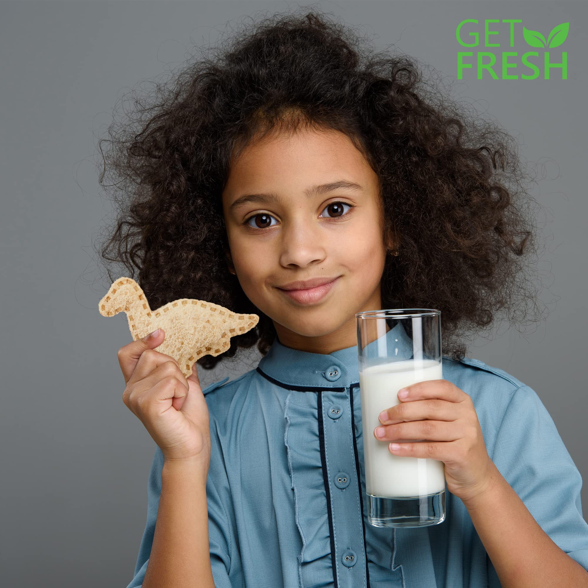 GET FRESH Sandwichschneider und Versiegler für Kinder -17 Stück Kinder Edelstahl Decruster Sandwich Ausstecher Gemüseschneider - Dino Metall Brotschneider und 5 Gemüseformen mit 10 Tiere Zahnstocher