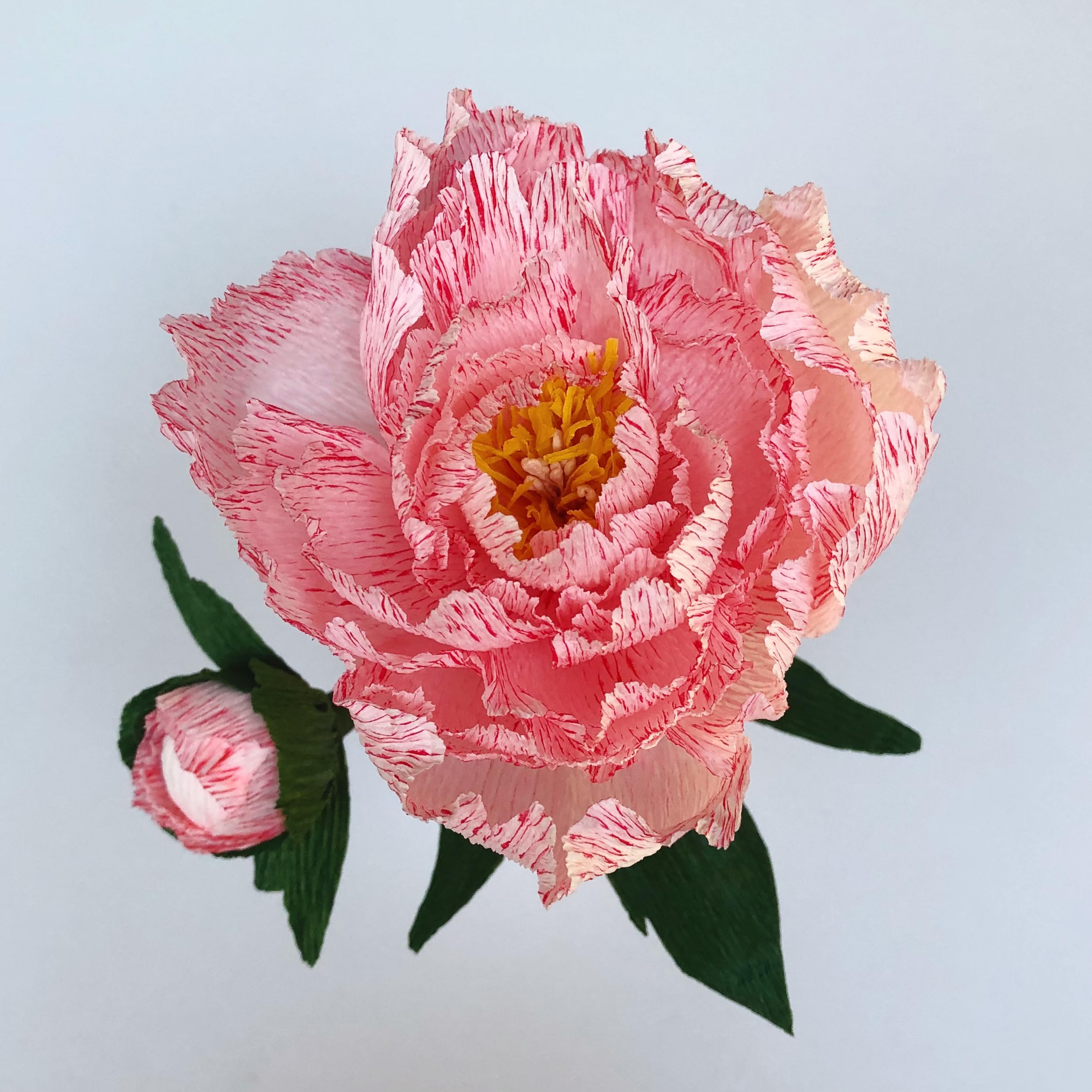 Bergin & Bath Paper Flower Kit - Peony. Papercraft kit for Women. A Creative Gift idea, Pink, Large - Image 3