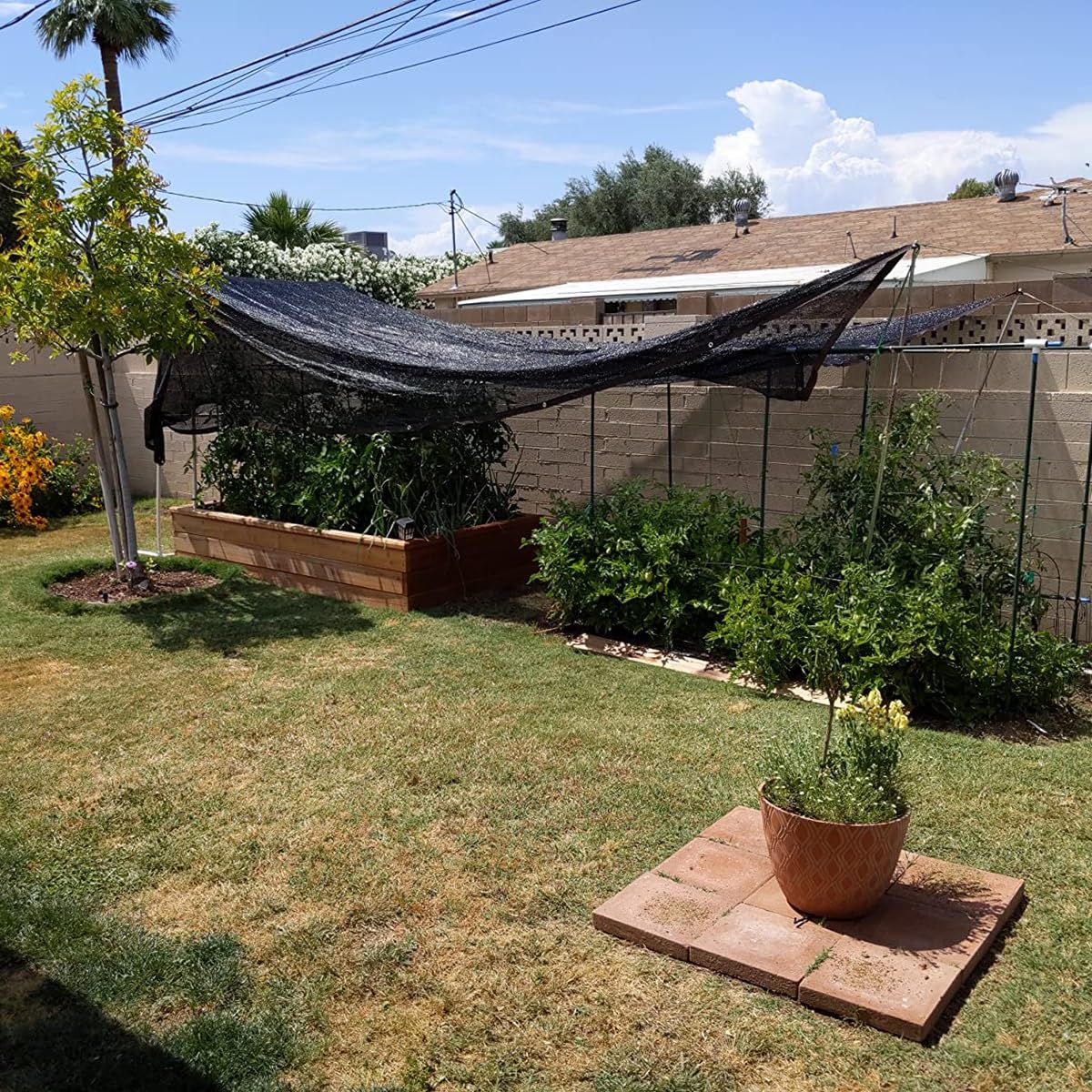 70% UV Blocker Garden E Cloth - Trwała czarna siatka z przelotkami do szklarni, samochodów i roślin - rozmiary: 1 x 2 m, 2 x 4 m, 3 x 6 m, 4 x 8 m, 5 x 11 m, 7 x 10 m.
