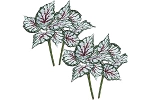 Rinlong Artificial Elephant Ear Plant