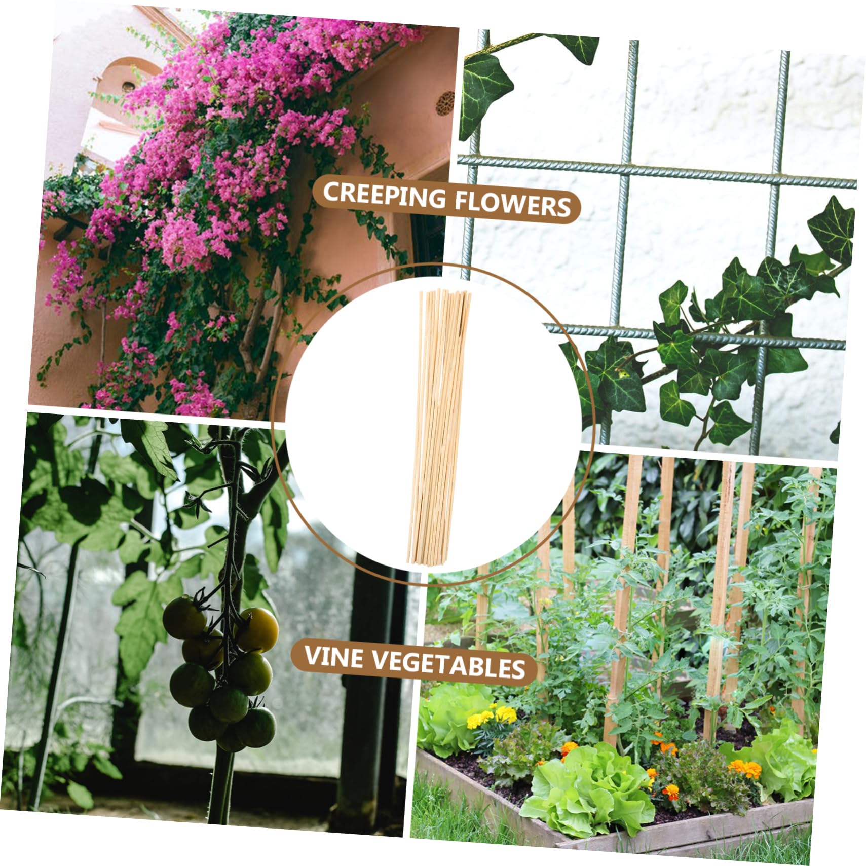 UKCOCO 4 Ensembles Tuteurs De Plantes Lot de Supports pour Plantes Grimpantes Fleurs pour Intérieur Extérieur Stabilité Saine 20 Pièces * 4