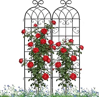 Lorenzo 2 Pcs 70 x 19.7 inch Metal Garden Trellis for Climbing Plants, B...
