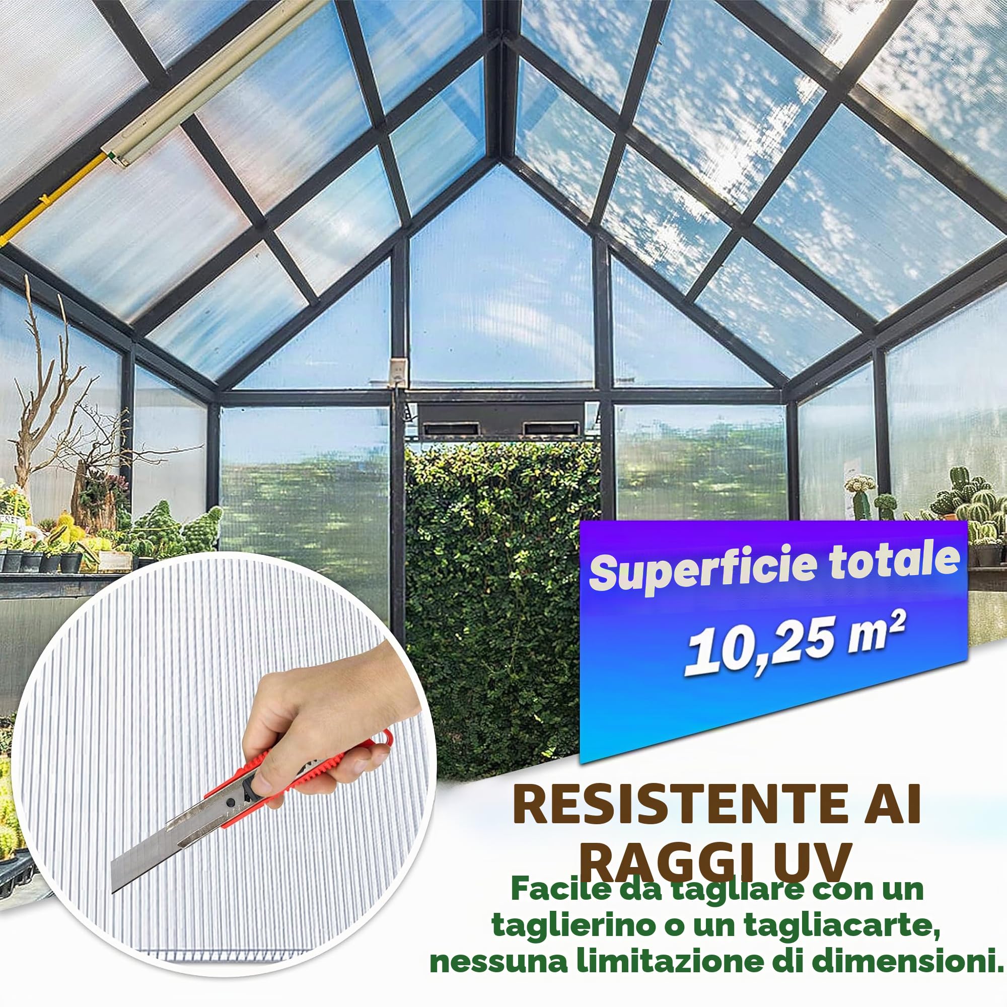 Froadp 14 Pezzi Pannelli Policarbonato per Serre Possono Essere Tagliati a Misura Resistenti ai Raggi UV Lastre Alveolari Alveolare 605x1210x4mm Trasparente Lastre a Doppia Pelle per Serre da Giardino
