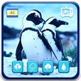 Temporizador de apagado automático integrado para uso nocturno