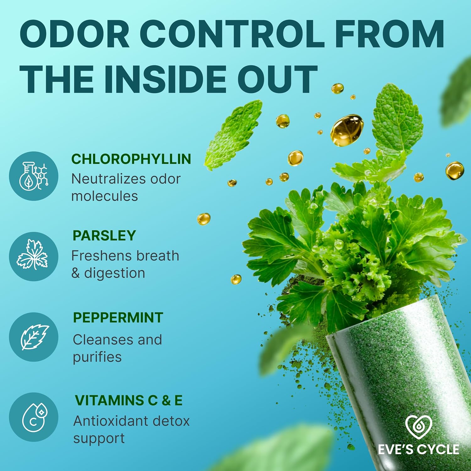 Body Deodorizing Supplement – Natural Internal Deodorant Chlorophyll Capsules with Chlorophyllin, Parsley & Peppermint – 60 Vegan 500mg+ Pills – Bad Breath, Daily Detox & Cleanse Support – Made in USA - Image 2
