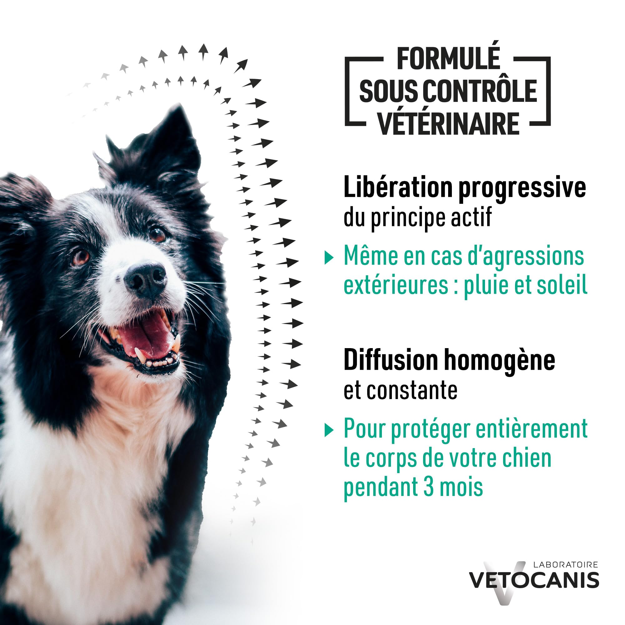 Vetocanis, Collier Anti Puces pour Chien, Répulsif Puces, Tiques, Moustiques, Protection 3 mois, Antiparasitaire Chien de 10 à 20 kg, Aux Extraits de Margosa et Lavandin