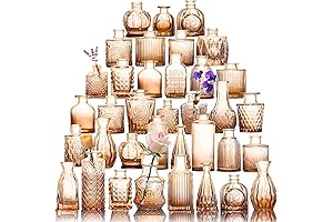 Fixwal 36 Glass Bud Vase Set: Amber Beauties for Floral Magic