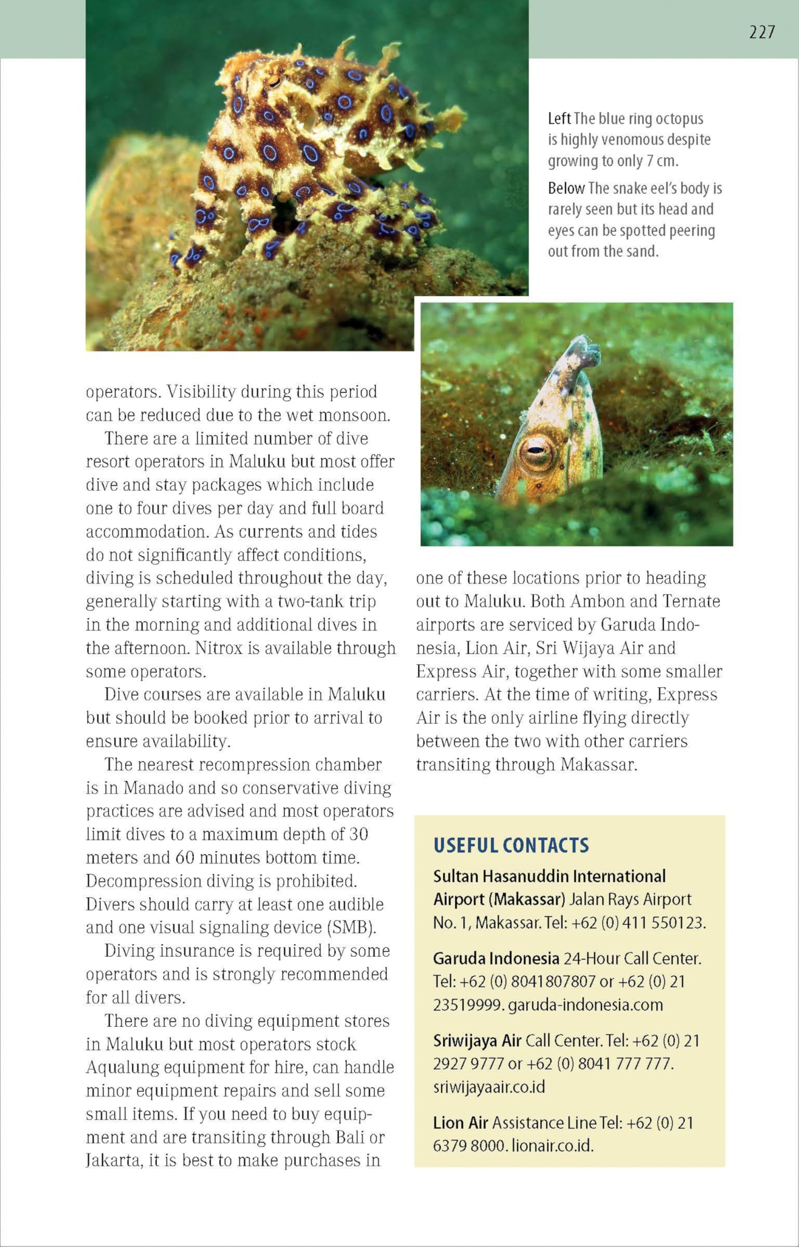 The Ultimate Guide to Diving in Indonesia: Exploring the Tropical Seas with the World's Greatest Marine Biodiversity
