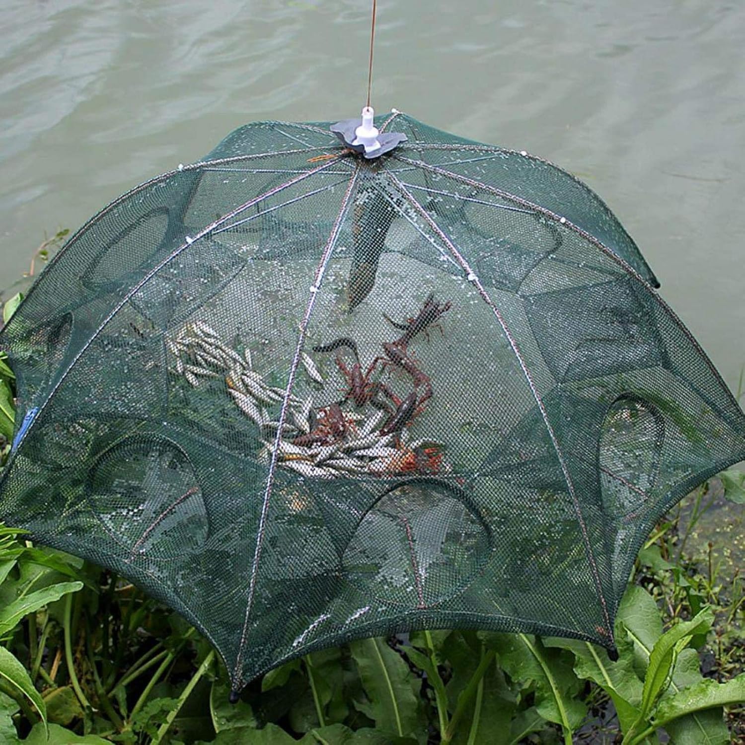Red de Pesca Plegable Cremallera 6 Agujeros Automática Nailon Trampa Peces Cangrejo