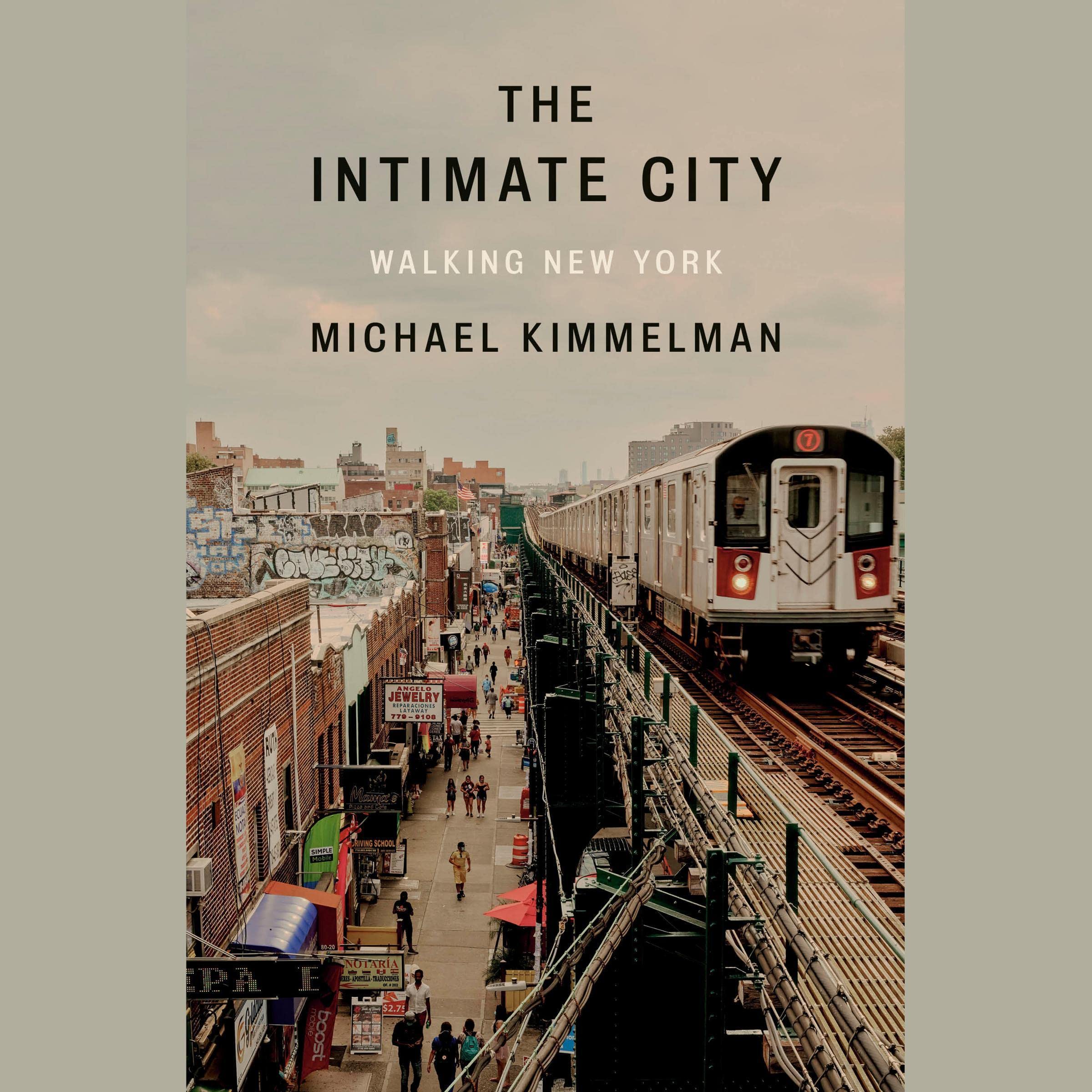 Cover art for The Intimate City
