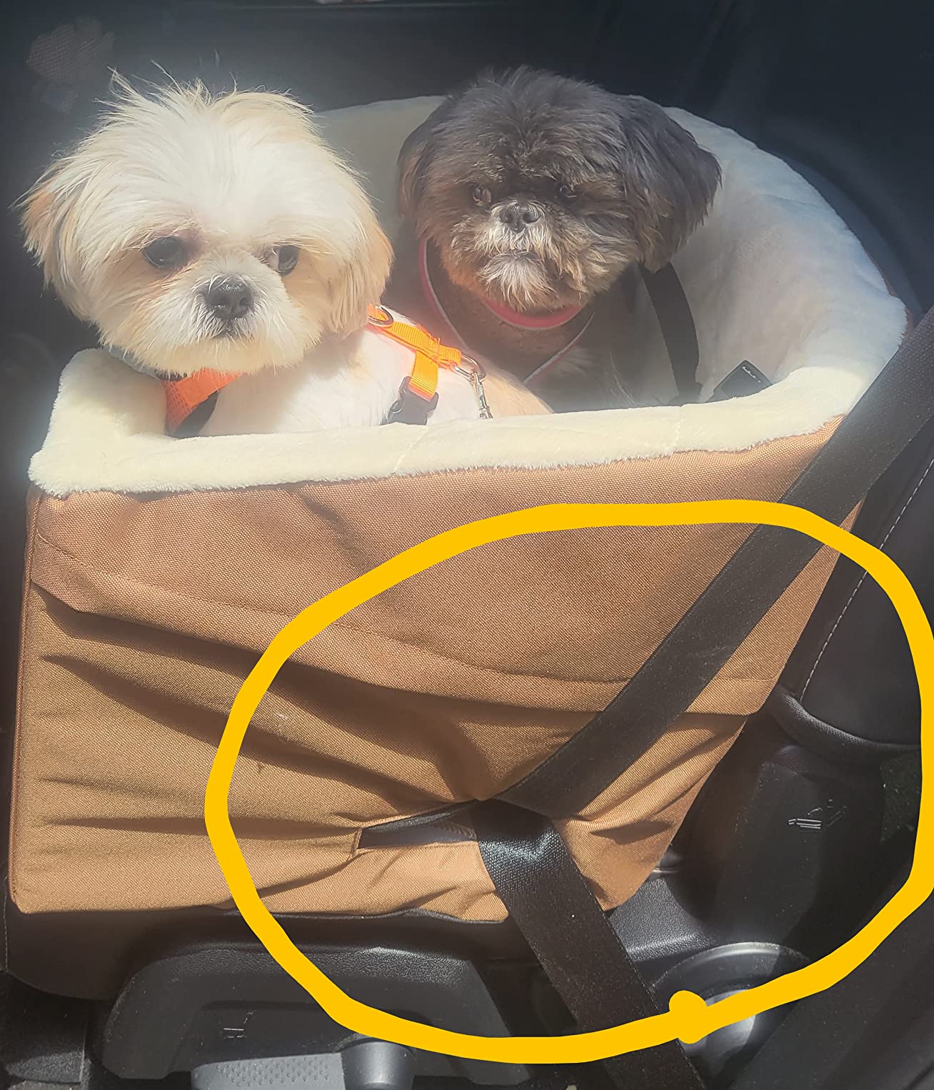 11/mo Finance Amazon Basics Pet Car Booster Bucket Seat Buy Now