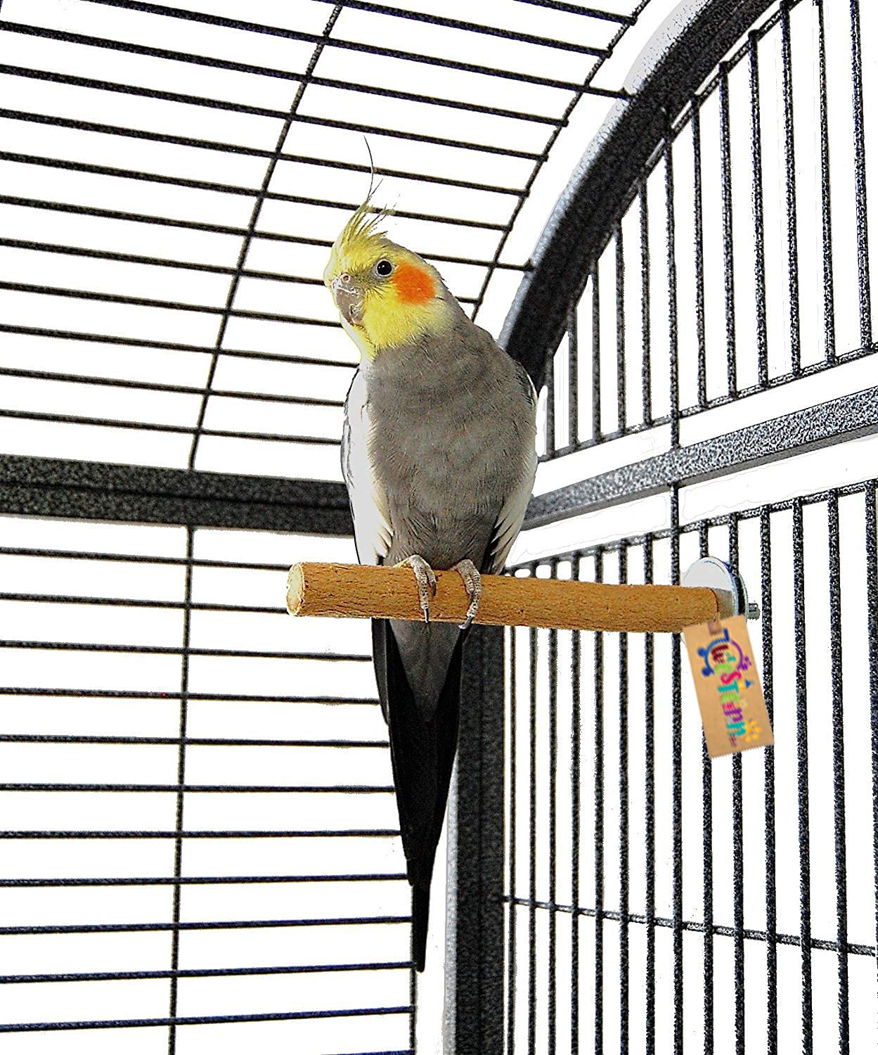 Western Era Perch/Stand Bird Toy (Medium & Large Birds) (10 Inches) (B081RFZLK3) Amazon Price History, Amazon Price Tracker