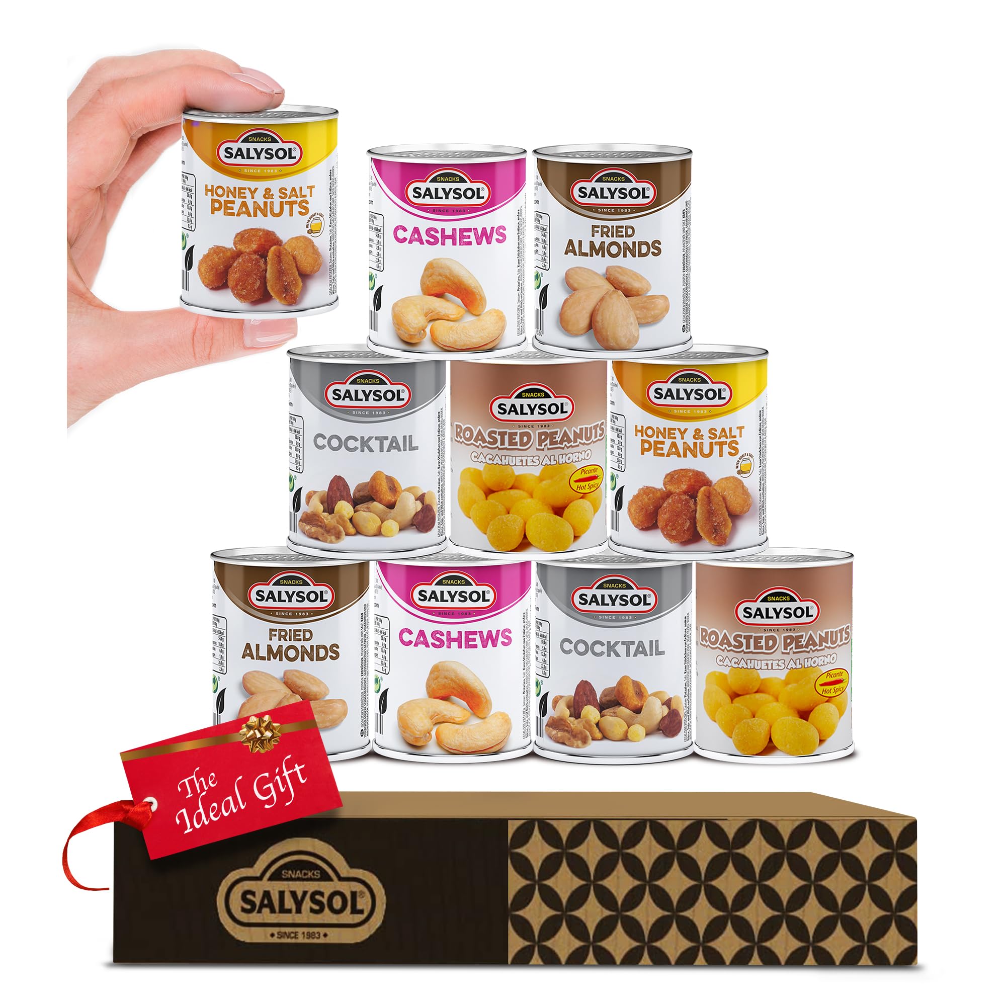 SALYSOL Snacks Nuts Bundle Variety 10-Pack 50g - Fried Almonds, Cashews, Roasted Peanuts, Spicy Cocktail, Honey & Salt Peanuts - Thoughtful Gift Sets for Men and Women in Beautiful Gift Box