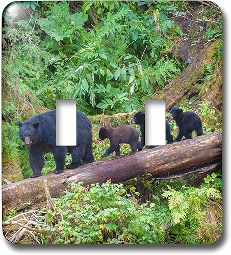 Miniatura 1 de 3dRose Black bear triplets follow mom at Anan Creek. - Light Switch Covers (lsp-380611-2)