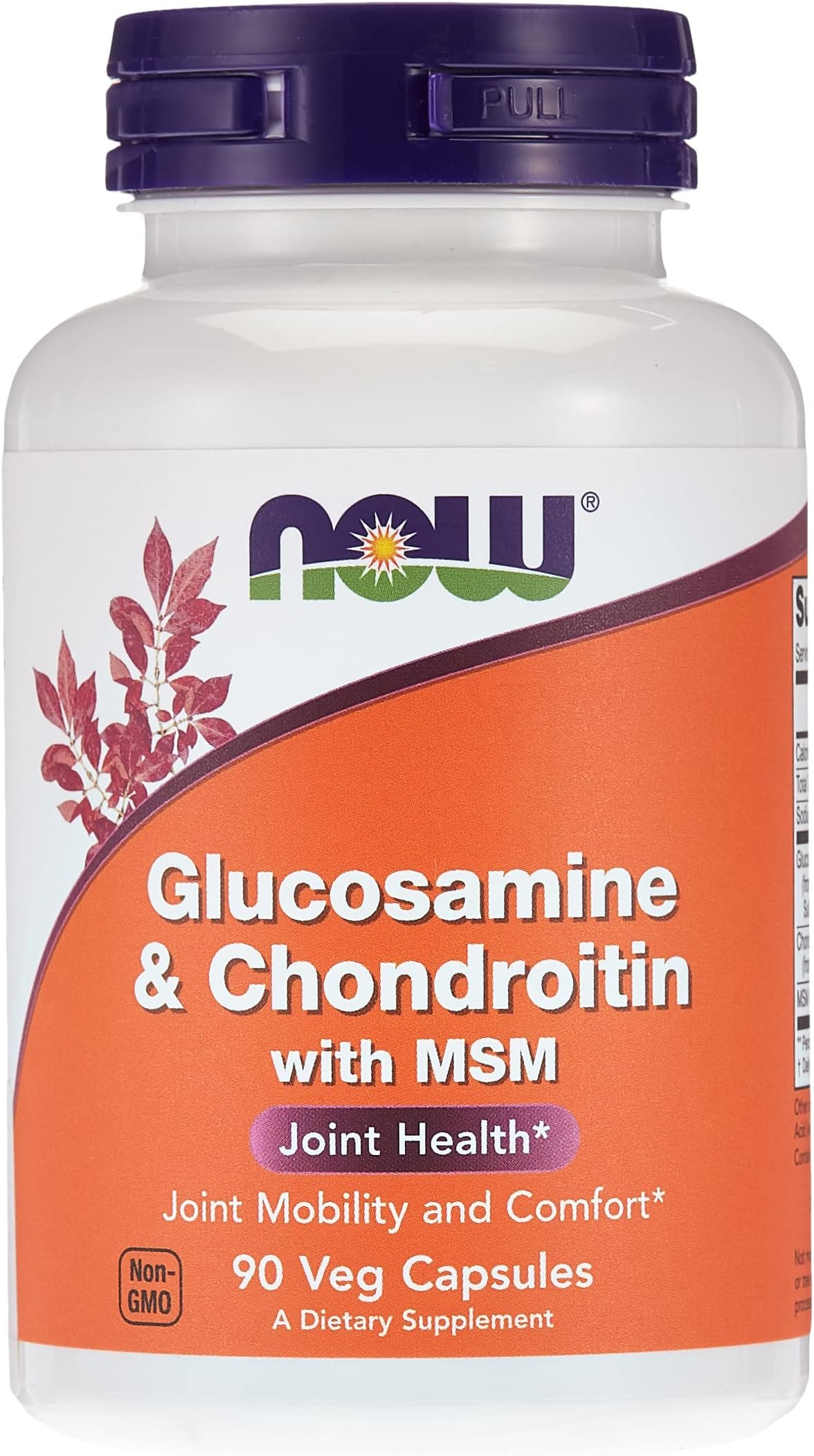 Foods Glucosamine And Chondroitin With Msm, 90 Capsules, 200 Grams