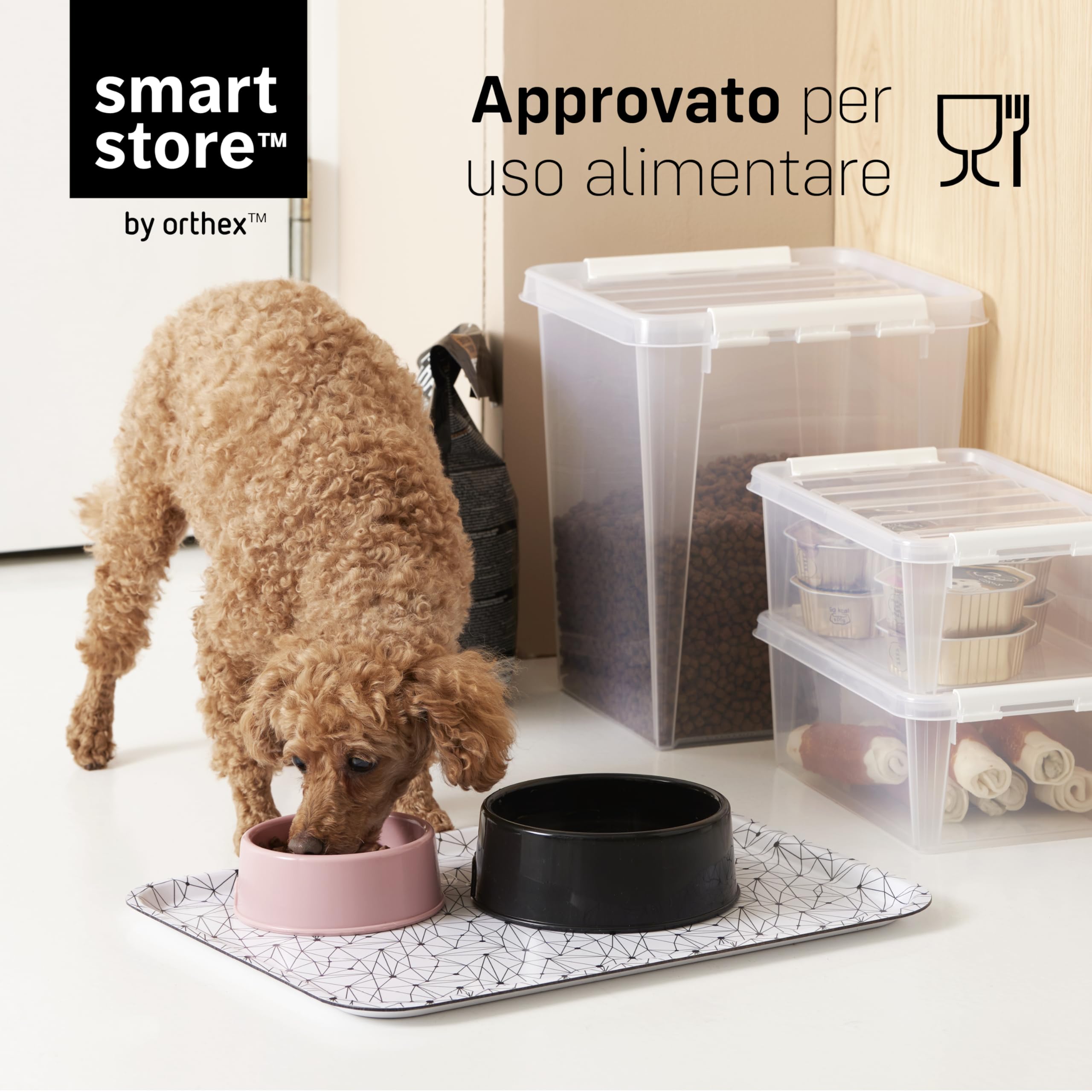 SmartStore Mini Scatole Portaoggetti 0,3L – Set da 10 – Scatoline Molto Piccole con Coperchio – L15 x P9 x A6 cm – Impilabili e sovrapponibili– Senza BPA - Sicure per alimenti – 10 Anni di Garanzia