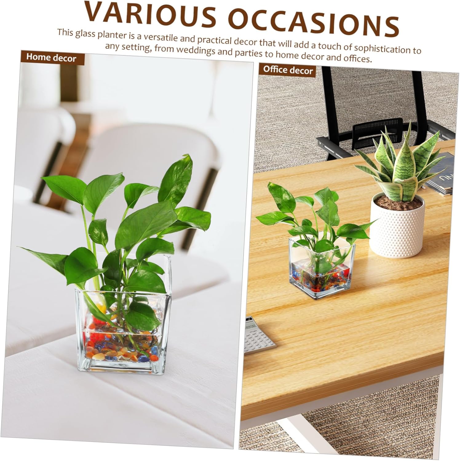 VANZACK 2pcs Square Glass Vase Planter Cube Flower Vase Home Decor Centerpiece