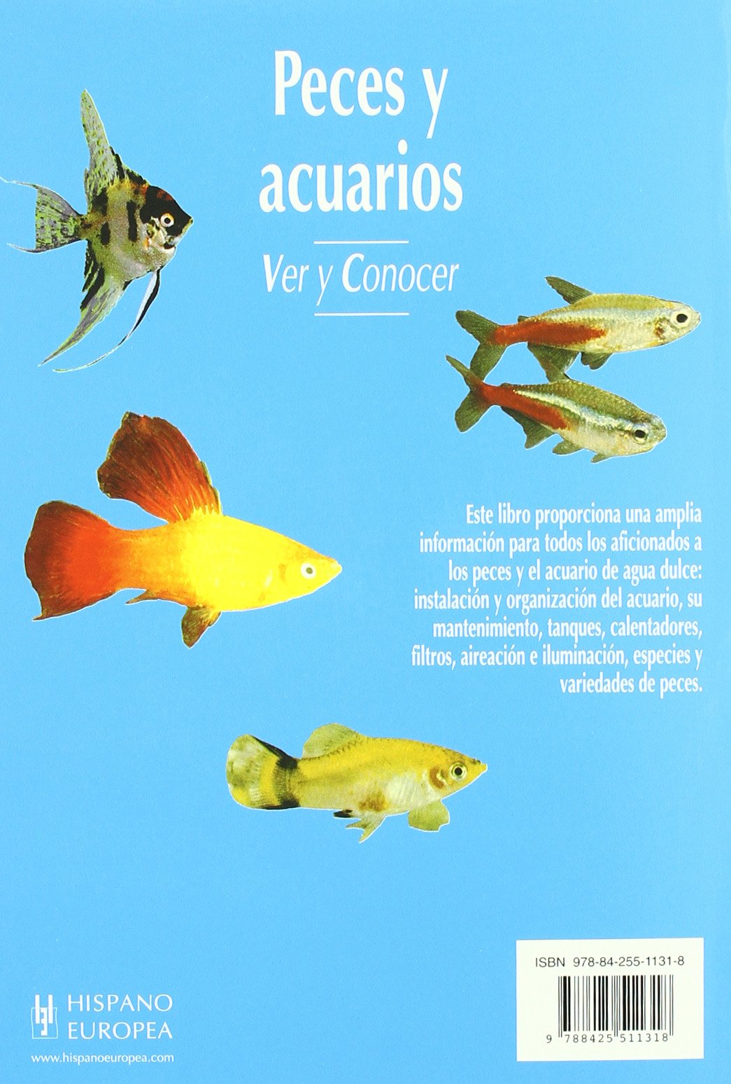 Peces y acuarios/A Basic Book of Aquariums: Ver Y Conocer