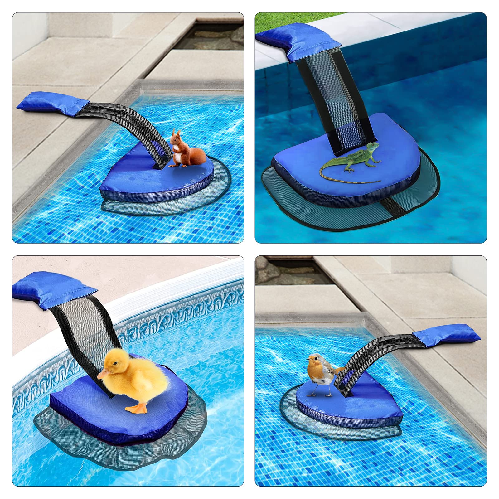 Rampa De Escape Para Piscina - Ayuda A Ranas, Tortugas Y Animales Pequeños A Salir, Tela Oxford Azul Resistente