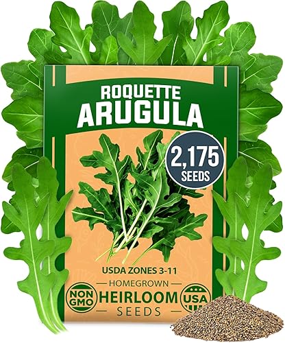 HOME GROWN Paquete de semillas de roqueta de rúcula sin OMG, 2,175 semillas de rúcula tradicionales para plantar, lo mejor para jardines al aire
