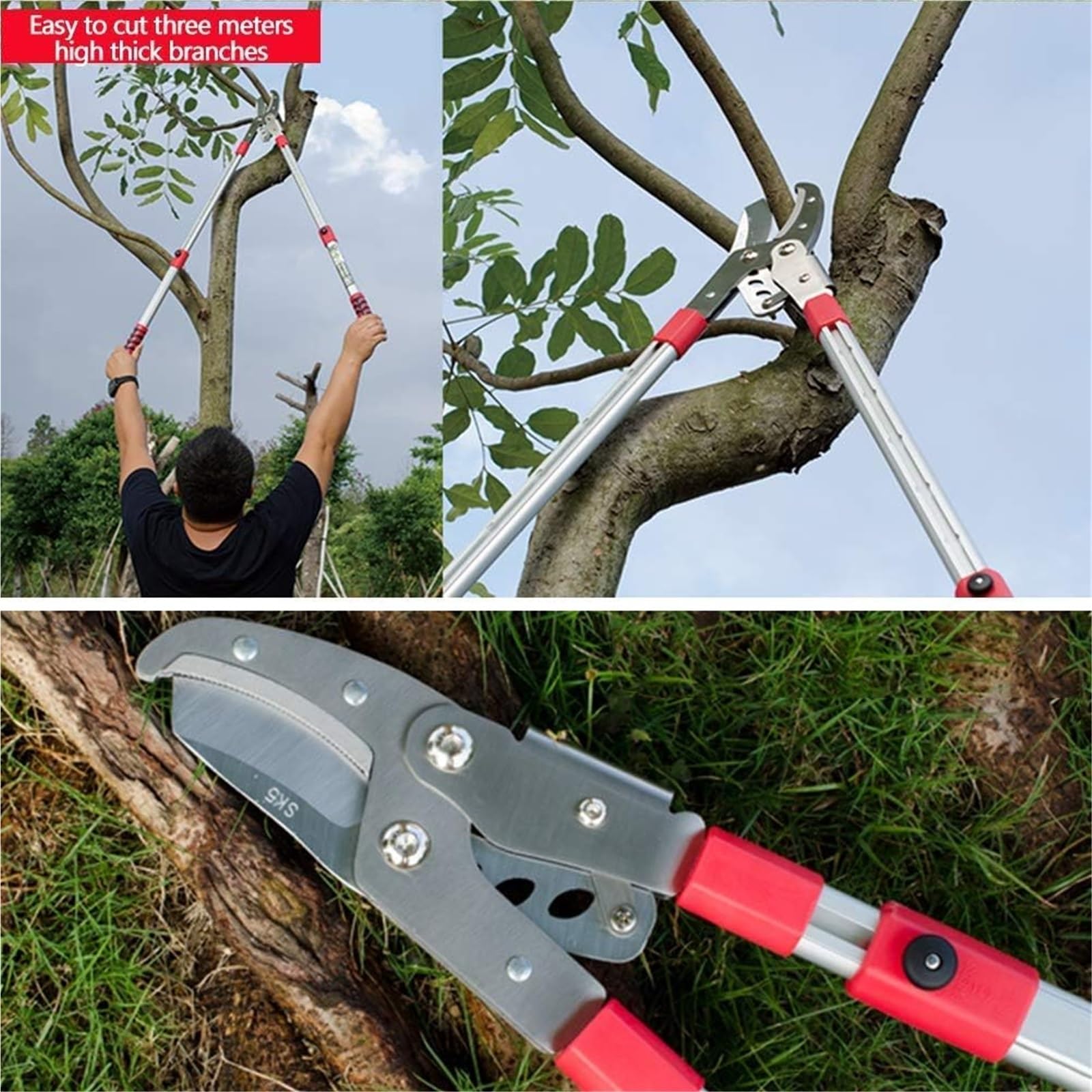 tijeras de podar, Tijeras de podar telescópicas yunque for árboles jardín, tijeras ramas altas, for cortar frutas y gruesas, herramientas jardinería