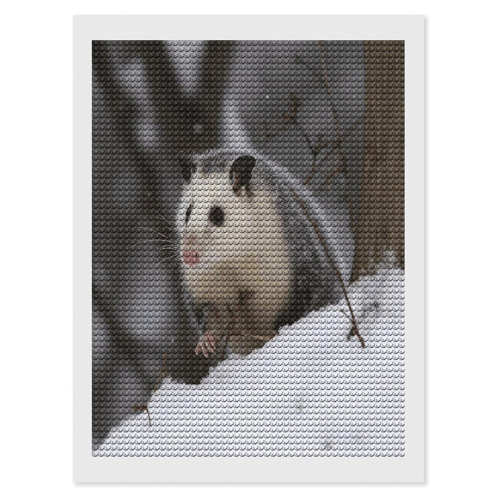 FekiLoot Opossum in Snow Diamond Art Kits for Adults Diamond Painting Kits for Beginners DIY Diamond Art Kits Round Full Drill Diamond Dot Gem Painting for Home Wall Decor Gift 12"x16"