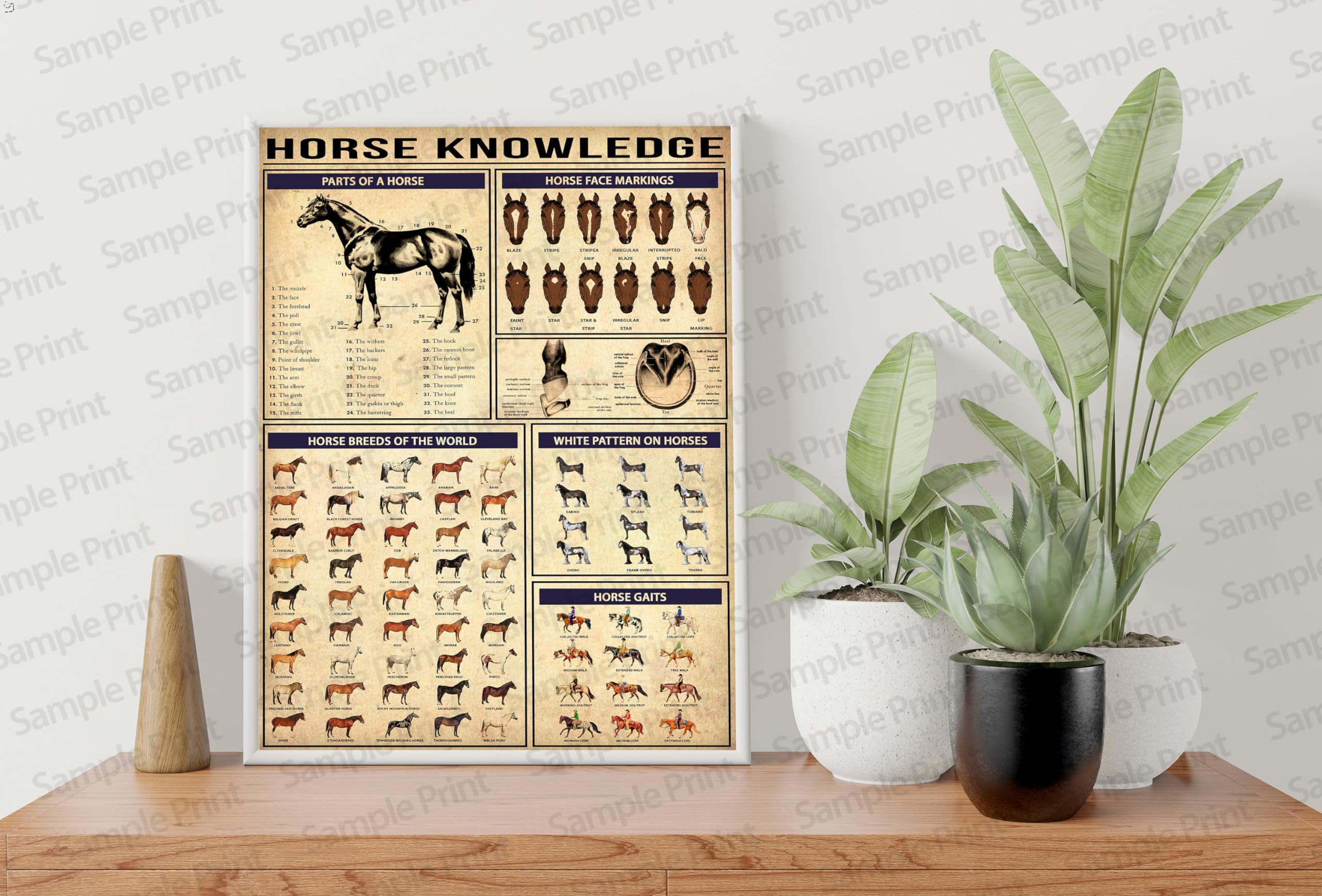 Horse Knowledge Poster Horse Poster Horse Lover Gift Horse Racing Horse Art Cowgirl Cowgirl Decor Horse Decor Metal Tin Sign 8x12 inches