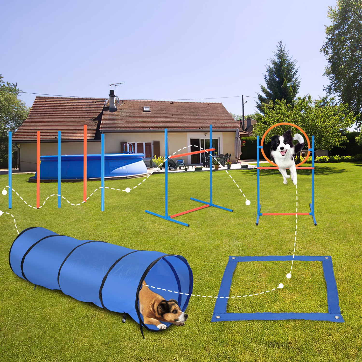 Agility Set Hunde, 5-teilig für Hundetraining & Freizeit | Zubehör umfasst Sprungring, Sprungstange, Tunnel, Slalomstangen, Pausenmarkierung, Ball, Pfeife und Transporttasche