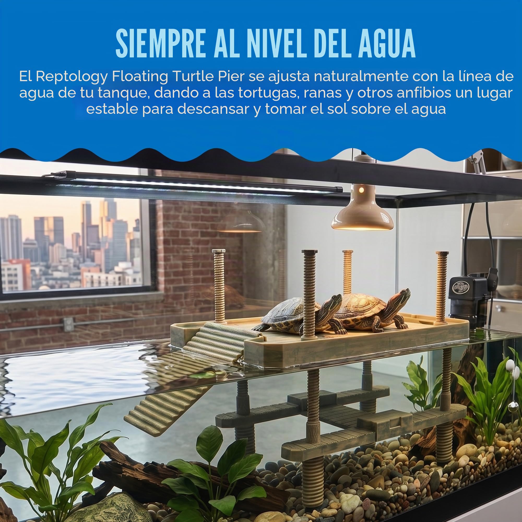 Penn REP603 Plax Reptology - Muelle Flotante de Tortugas y Plataforma para Tomar el Sol, 41 x 28 cm