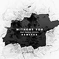 Without You feat. Sandro Cavazza/Avicii