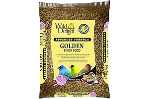 Golden Finch Bird Seed: The Perfect Meal for Your Feathered Friends