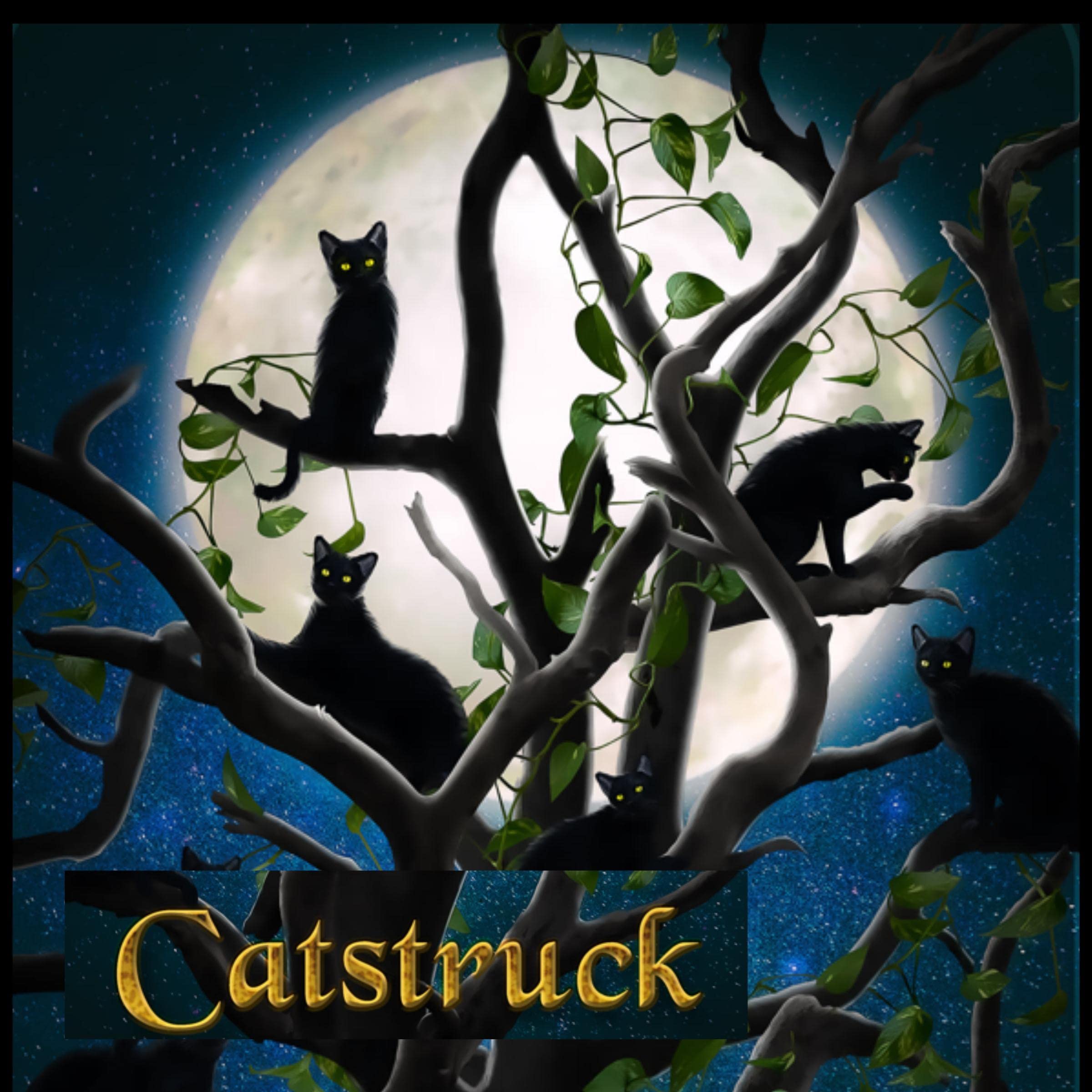 Catstruck!