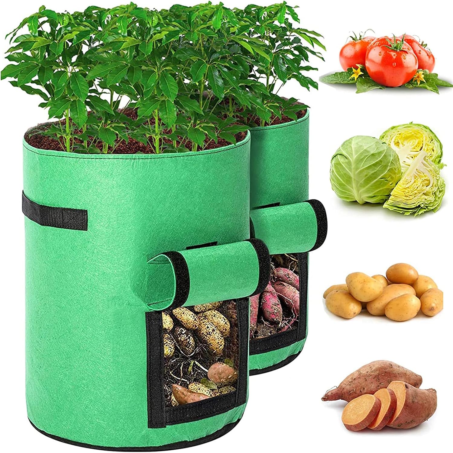 Vegetable Plant Tub with Access Flap 2/4 Pack 10 Gallon Garden Potato