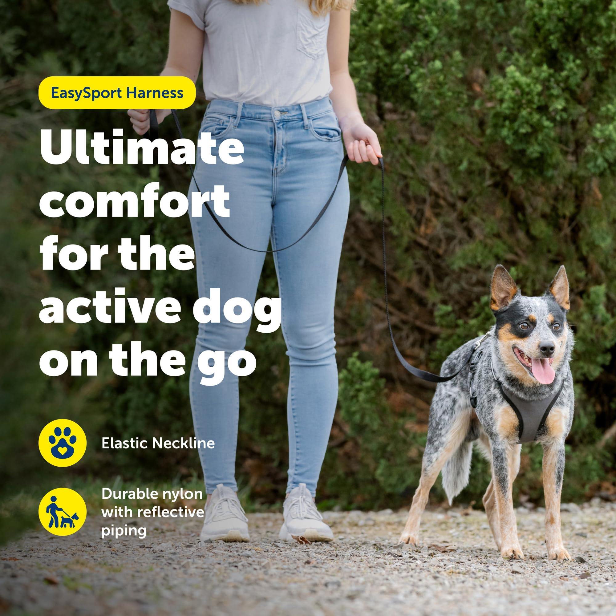 PetSafe EasySport szelki dla psa - wyściełane, regulowane szelki dla psa z uchwytem kontrolnym i odblaskową lamówką - idealne dla aktywnych psów - od The Makers of The Easy Walk uprząż - mała
