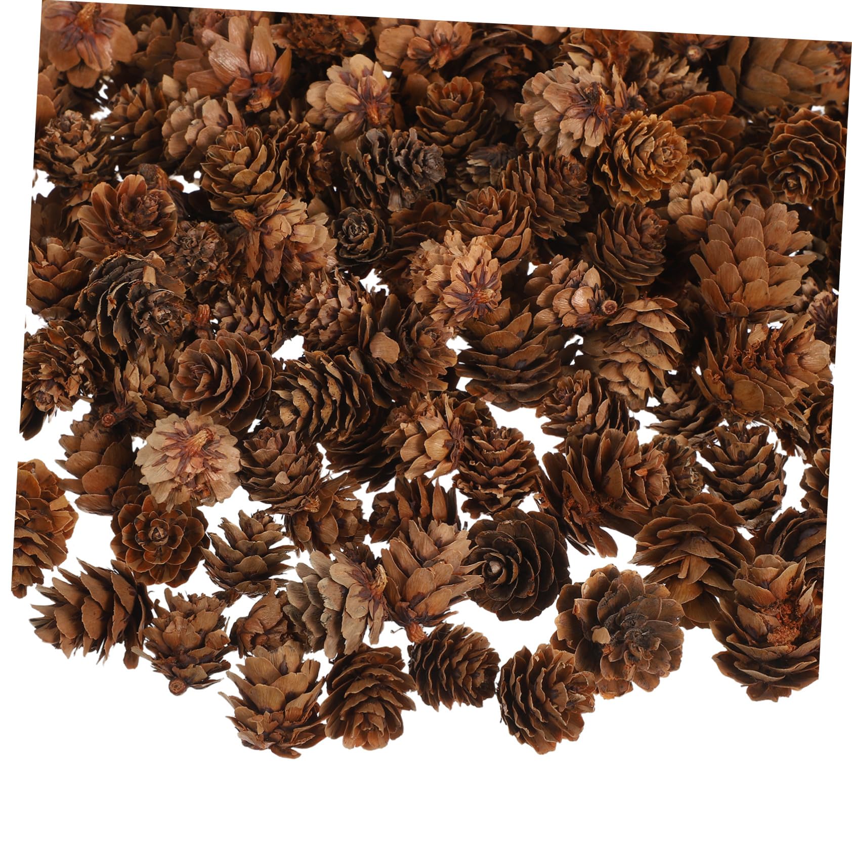 SOIMISS Kleine Tannenzapfen für Weihnachtsbaumschmuck Naturmaterial Tannenzapfenornamente für Tischdekoration Weihnachtskränze und Bastelarbeiten